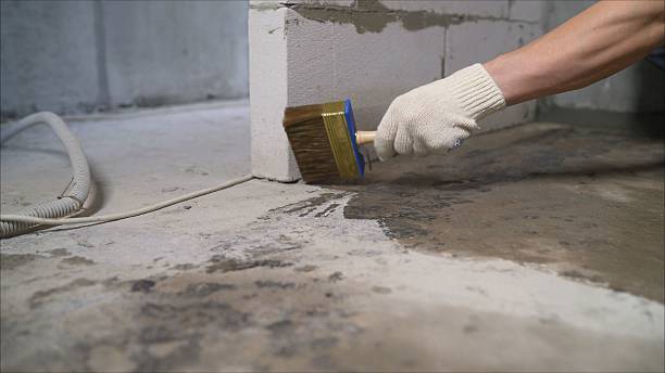 SJ Waterproofing Pros Basement Waterproofing coverage map for Brohman, MI and surrounding area
